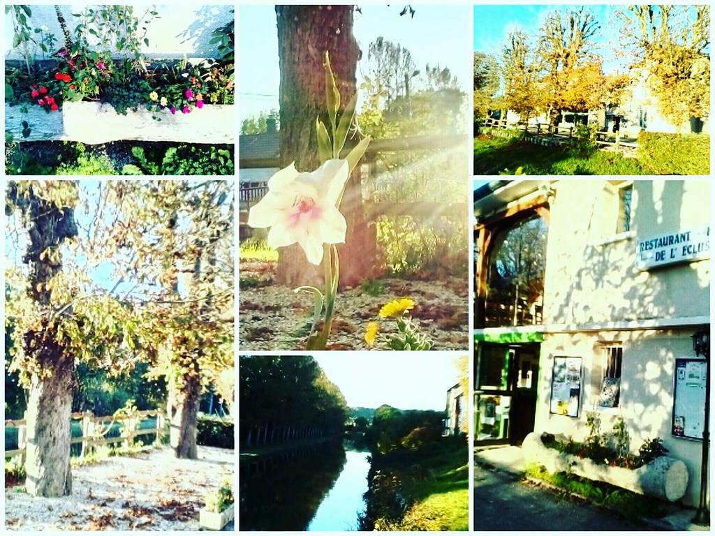 Hotel-Restaurant De L'Ecluse 79 Chassignelles Εξωτερικό φωτογραφία